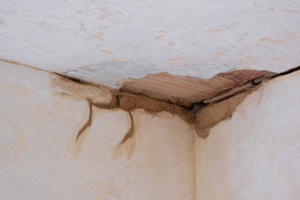 Best 24-hour water damage restoration  in Boyertown, PA