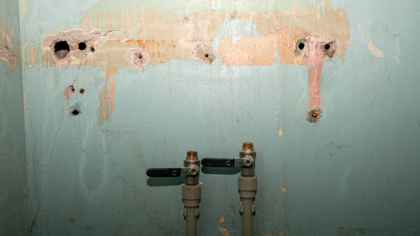 Best Water damage mitigation services  in Boyertown, PA