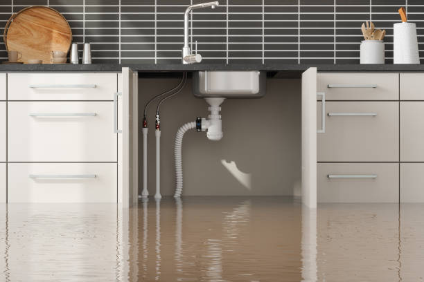 Best Residential water damage restoration  in Boyertown, PA